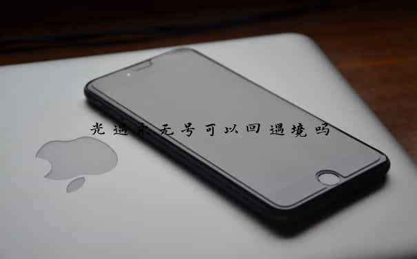 光遇永无号可以回遇境吗