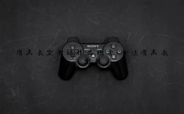鹰击长空书法作品欣赏-书法鹰击长空美